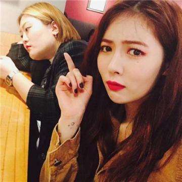 香港2023正版免费资料手机app下载